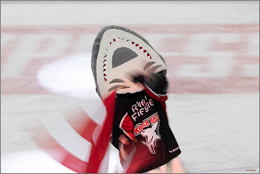 PENNY DEL 1; Kölner Haie - Düsseldorfer EG ; Köln, 16.02.2025